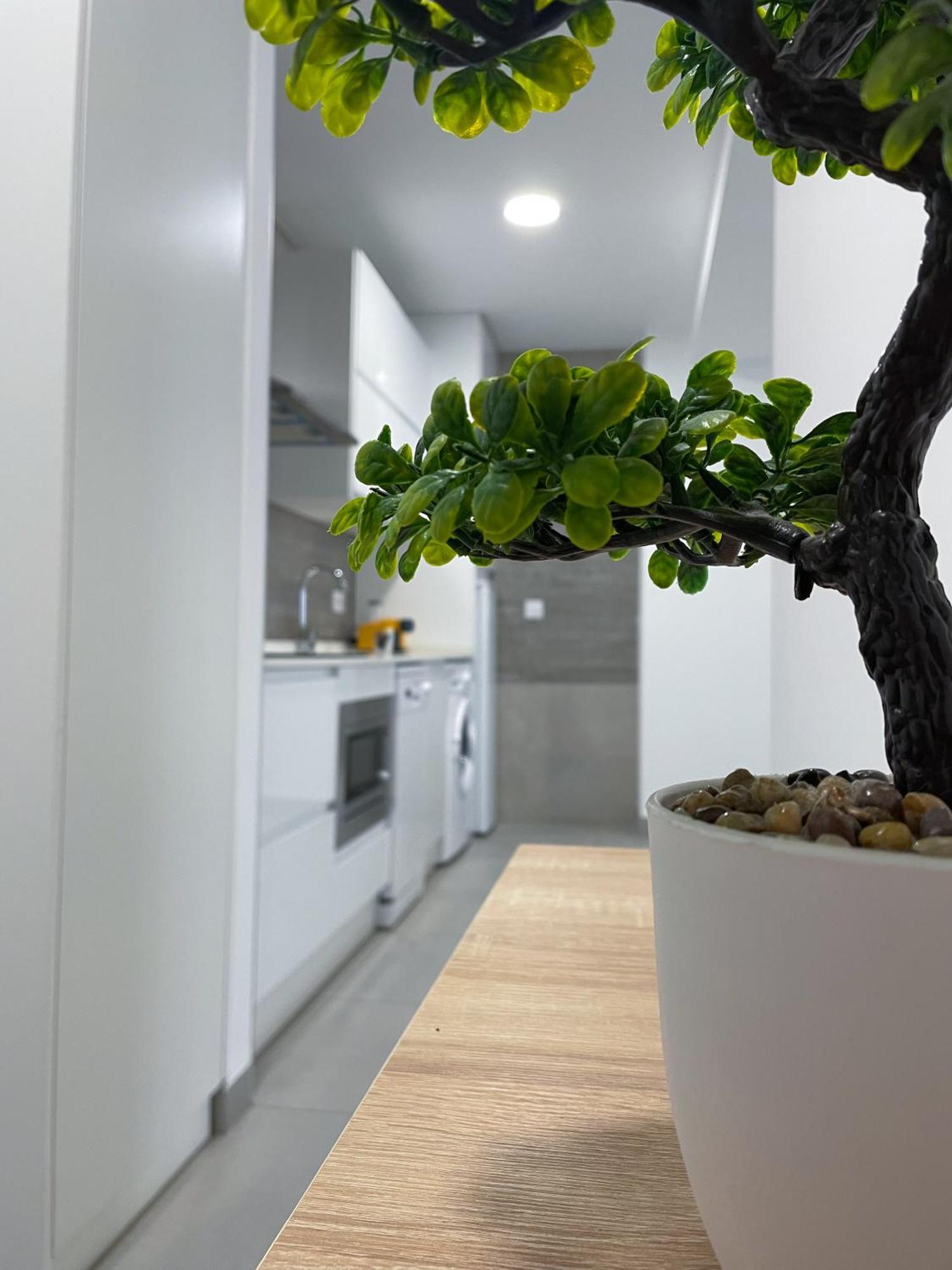 Apartamentos Lusitania Parking Gratis Bajo Disponibilidad Mérida Esterno foto